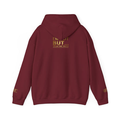 "Je ne suis pas paresseux, MAIS efficace !" - Sweat-shirt à capuche unisexe Heavy Blend™ 