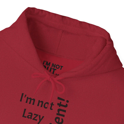 "Je ne suis pas paresseux, MAIS efficace !" - Sweat-shirt à capuche unisexe Heavy Blend™ 