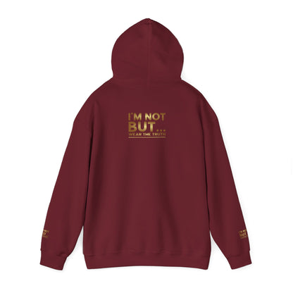 "Je ne suis pas paresseux, MAIS efficace !" - Sweat-shirt à capuche unisexe Heavy Blend™ 