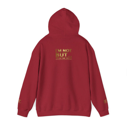 « Édition spéciale – Hors de contrôle avec style » – Sweat-shirt à capuche unisexe Heavy Blend™