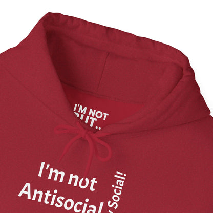 « Je ne suis pas antisocial, MAIS sélectivement social ! » - Sweat-shirt à capuche unisexe Heavy Blend™ 